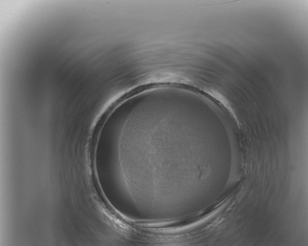 X0000064741120200602131309