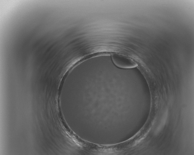 X0000064741121200602131309