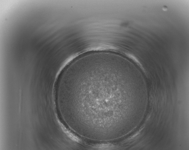 X0000064741122200602131309