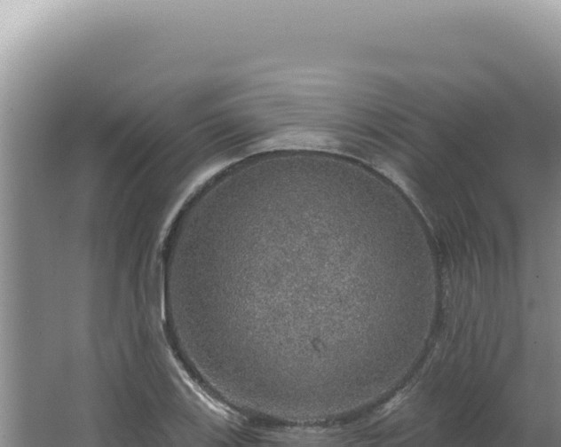 X0000064741123200602131309