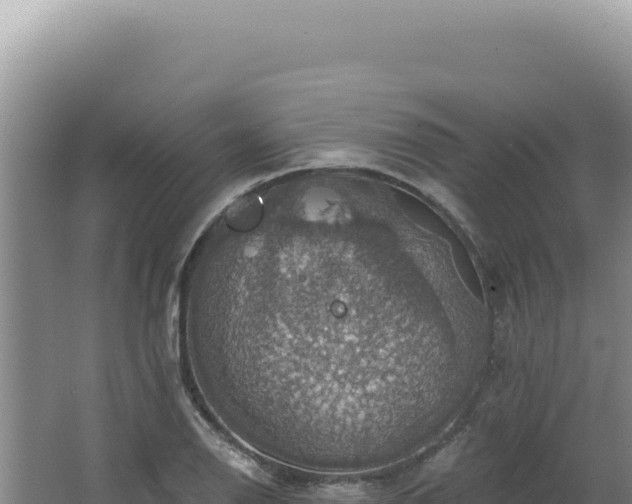 X0000064741126200602131309