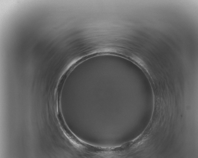 X0000064741127200602131309