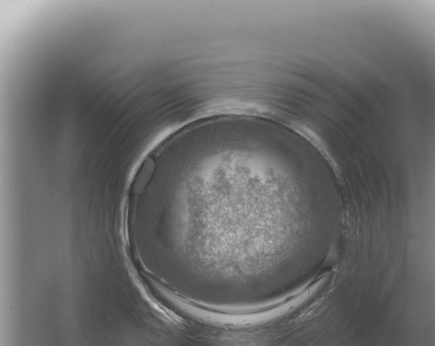 X0000064741128200602131309