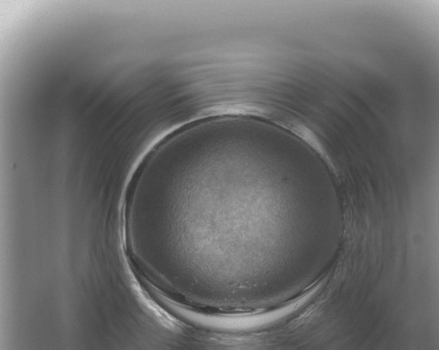 X0000064741132200602131309