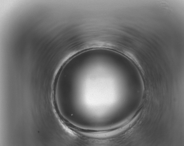 X0000064741136200602131309