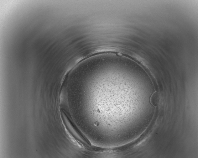 X0000064741137200602131309