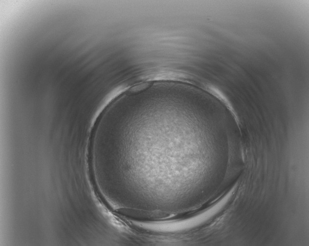 X0000064741138200602131309