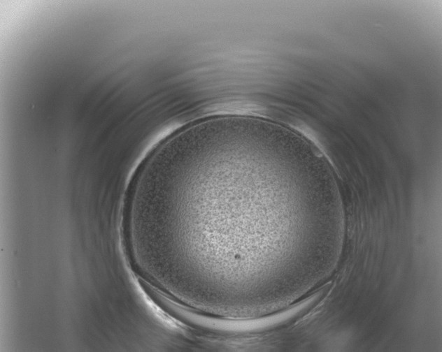 X0000064741139200602131309