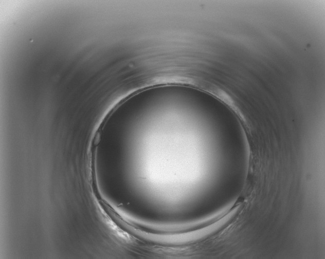 X0000064741140200602131309