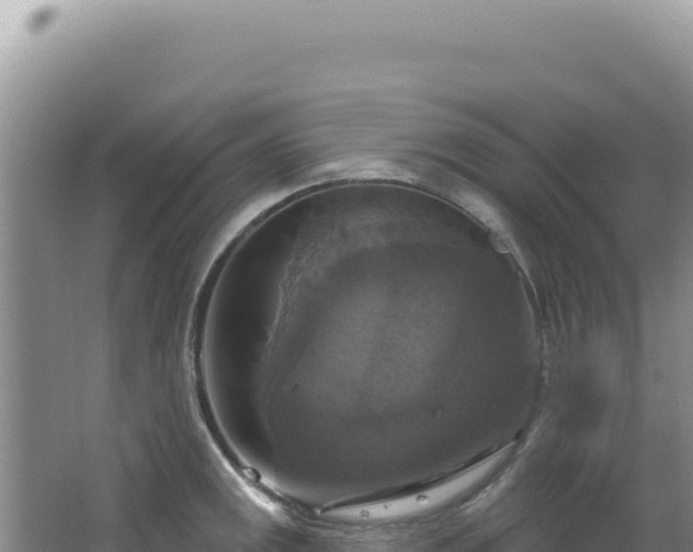 X0000064741141200602131309