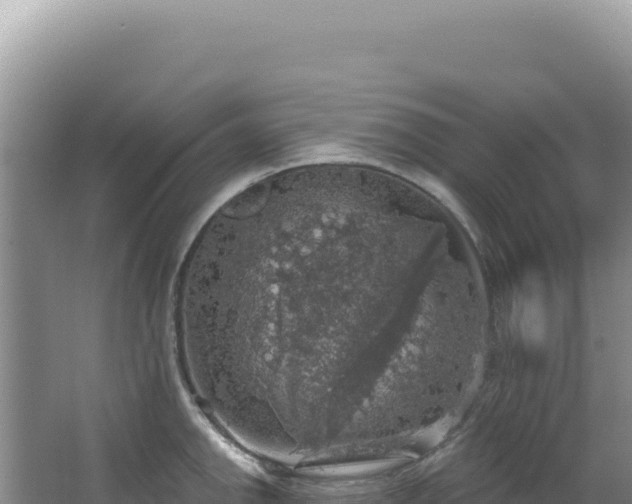 X0000064741142200602131309