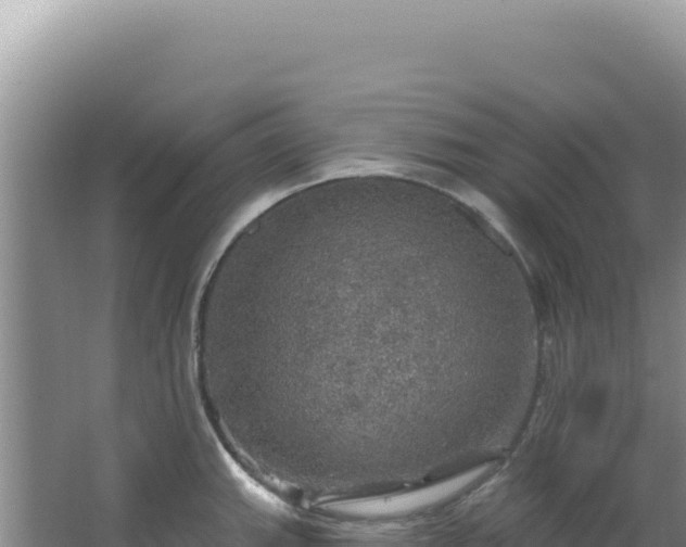 X0000064741143200602131309