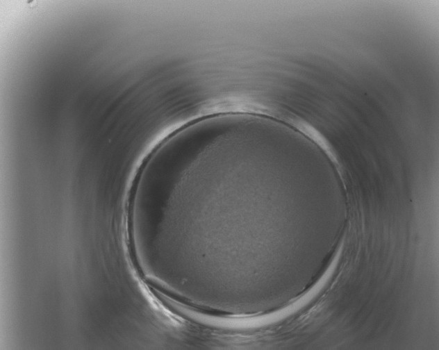 X0000064741144200602131309