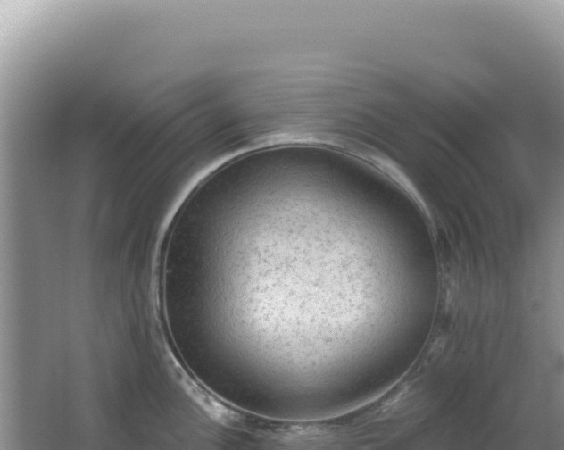 X0000064741148200602131309