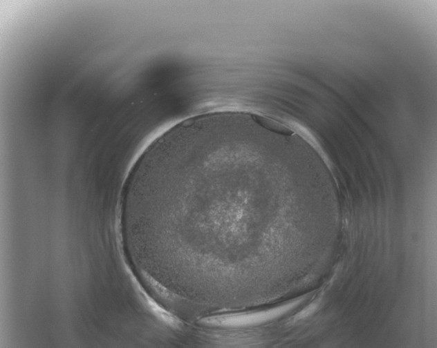 X0000064741149200602131309