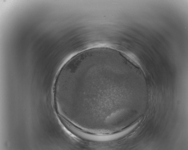 X0000064741151200602131309