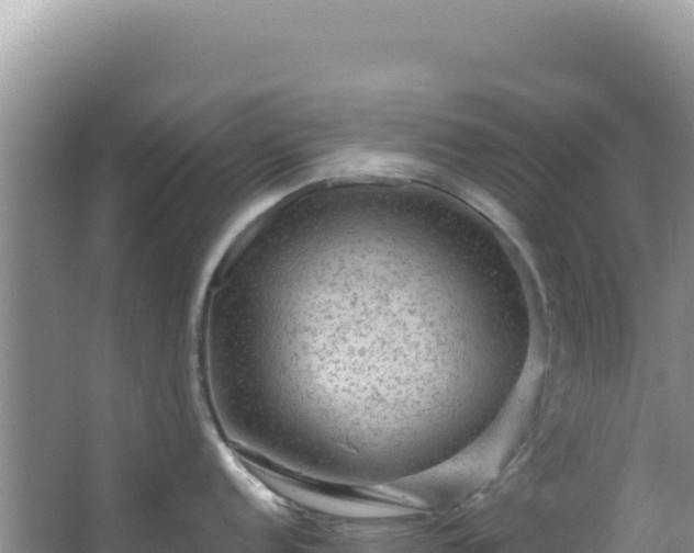 X0000064741152200602131309