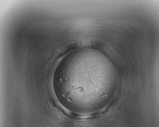 X0000064741153200602131309