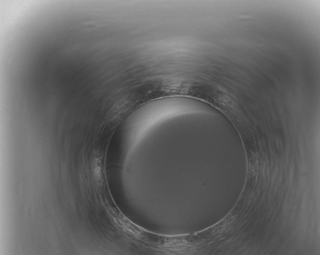 X0000064741154200602131309