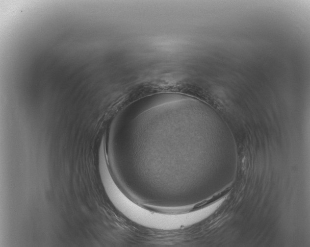 X0000064741156200602131309