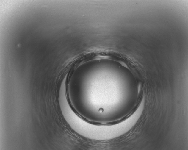 X0000064741157200602131309