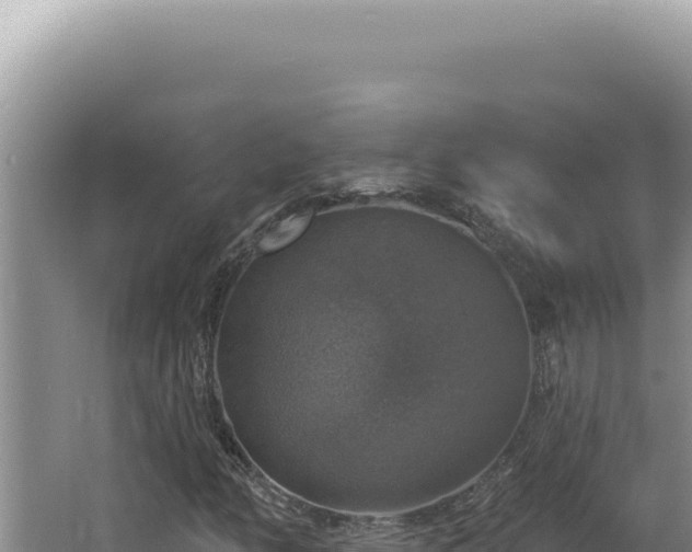 X0000064741158200602131309