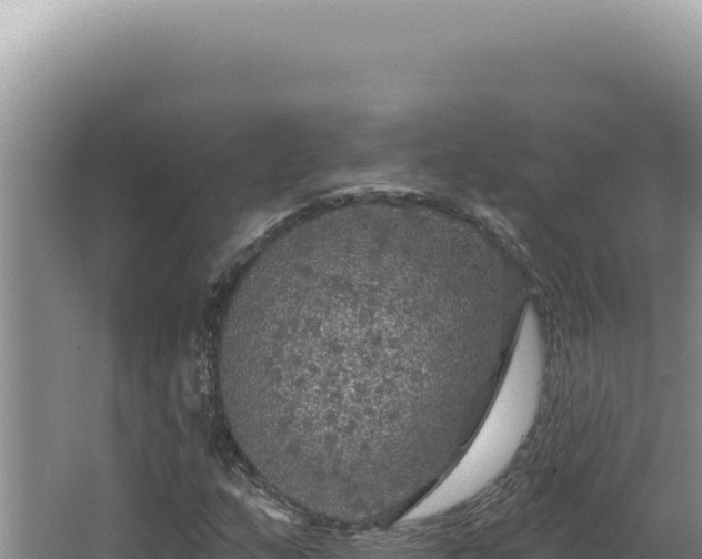 X0000064741159200602131309