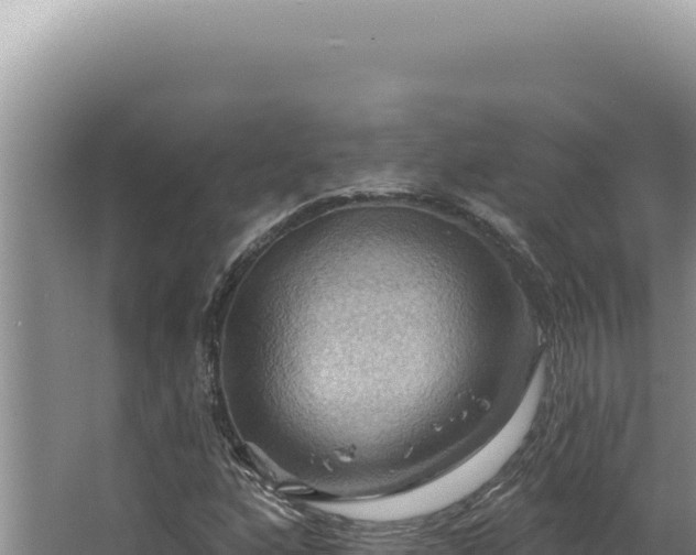 X0000064741160200602131308