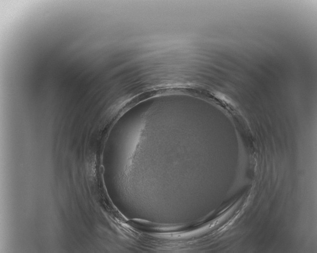 X0000064741161200602131308