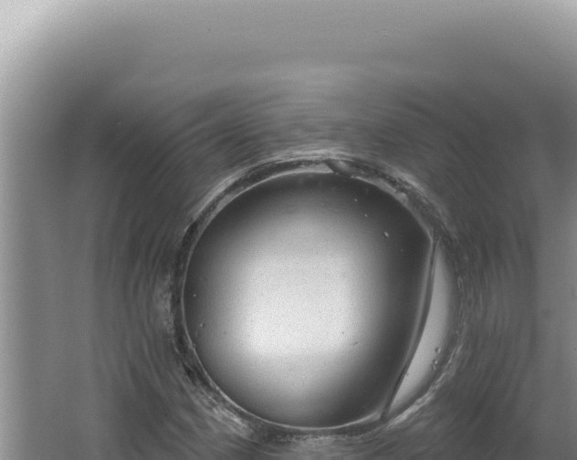 X0000064741162200602131308