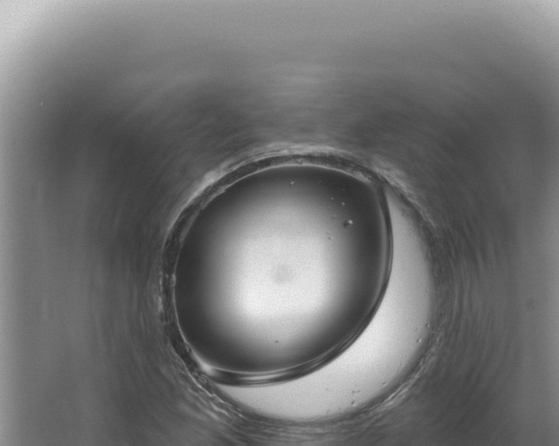 X0000064741165200602131308