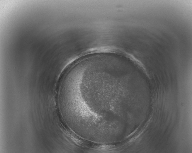 X0000064741166200602131308