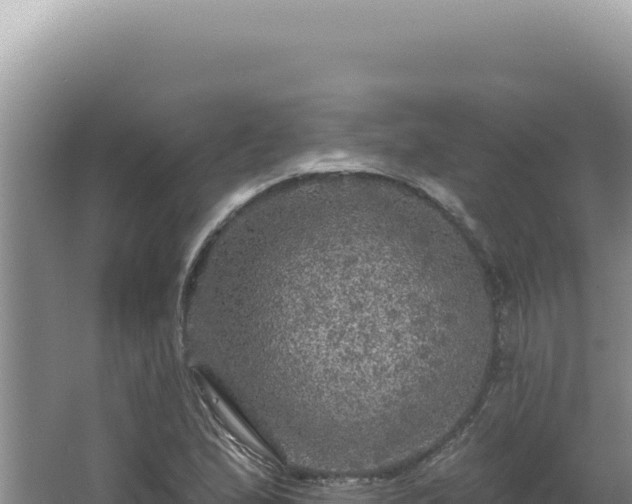 X0000064741167200602131308