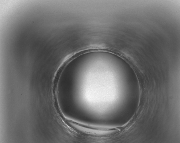 X0000064741168200602131308