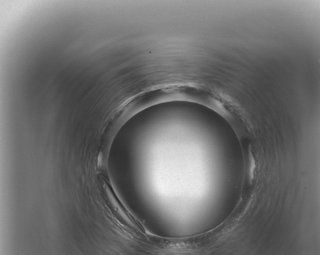 X0000064741169200602131308