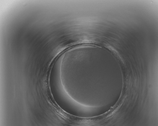 X0000064741170200602131308