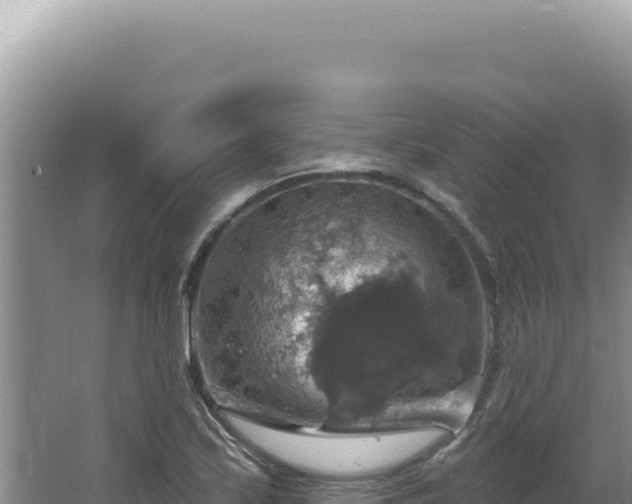 X0000064741171200602131308