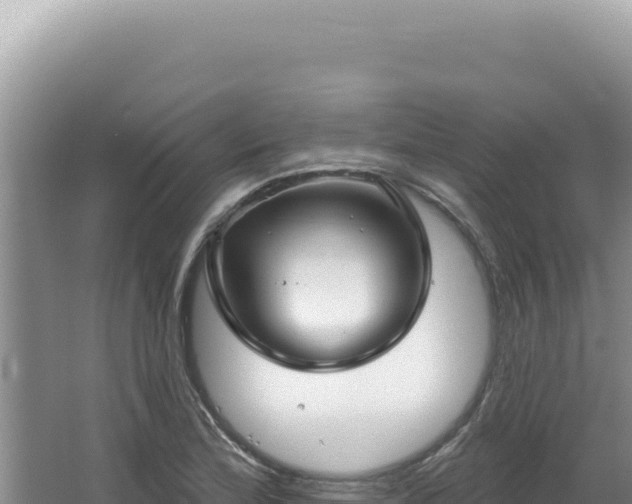 X0000064741172200602131308