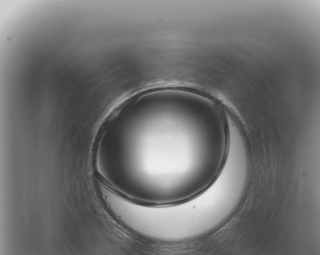 X0000064741173200602131308