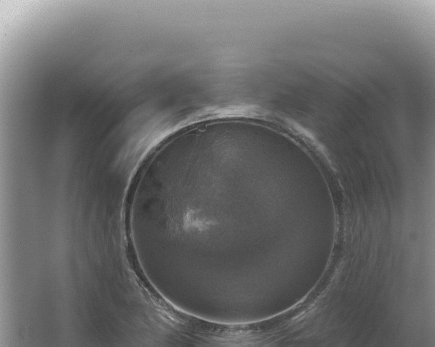 X0000064741174200602131308