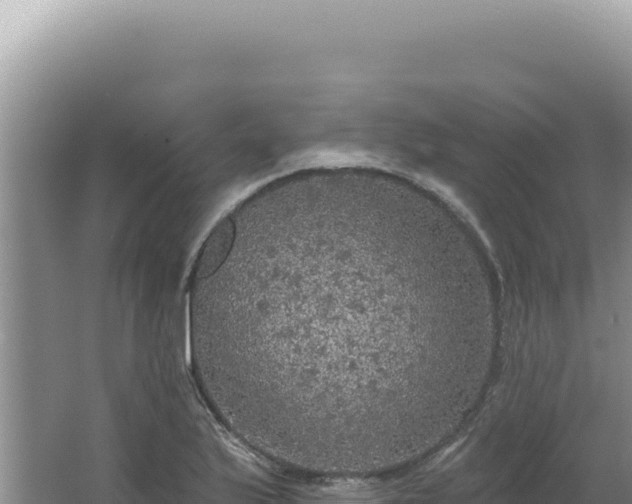 X0000064741175200602131308