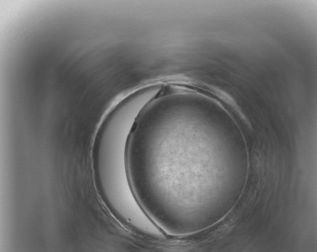 X0000064741176200602131308