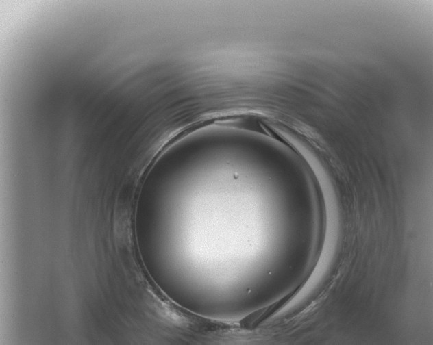 X0000064741177200602131308