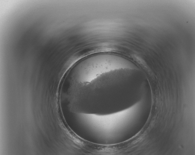 X0000064741178200602131308