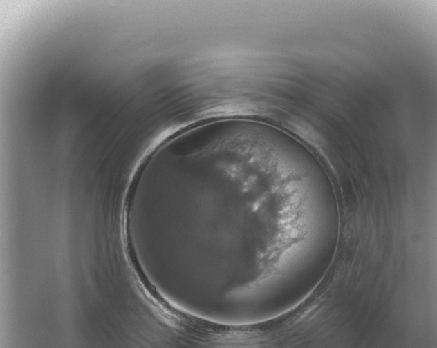 X0000064741179200602131308