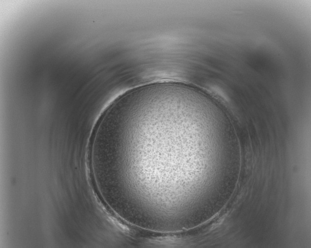 X0000064741182200602131308