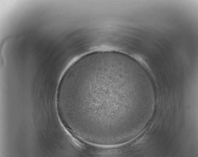 X0000064741183200602131308