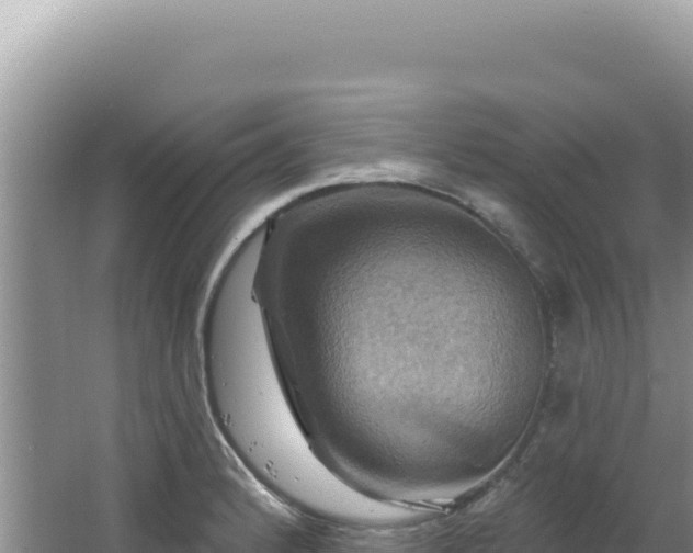 X0000064741184200602131308