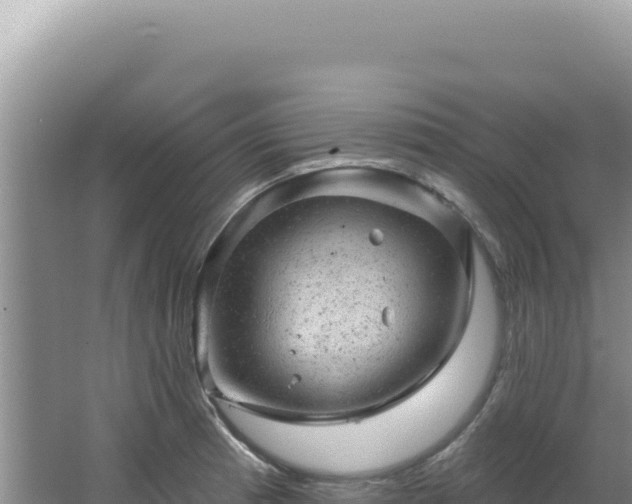 X0000064741185200602131308