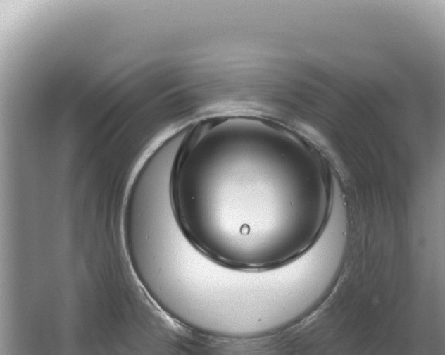 X0000064741188200602131308